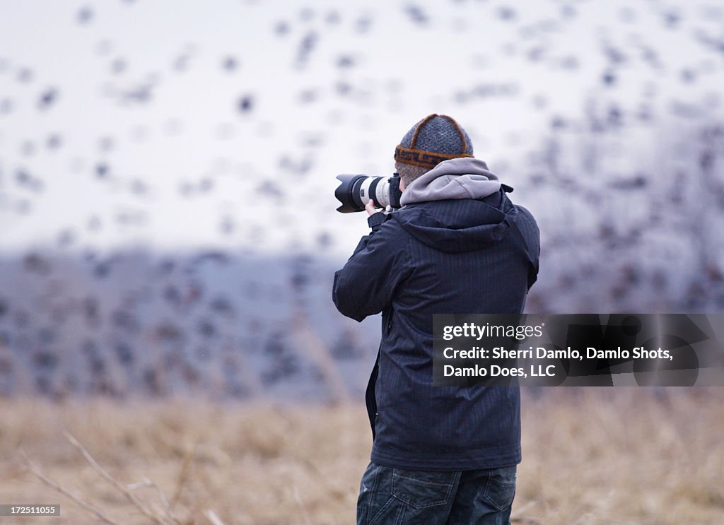Photographer shooting red-wing blackbirds