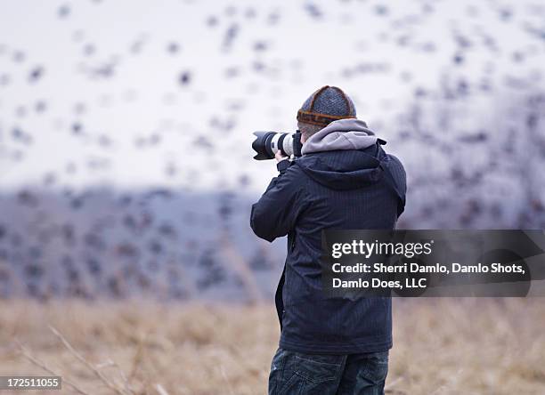 photographer shooting red-wing blackbirds - damlo does stock pictures, royalty-free photos & images