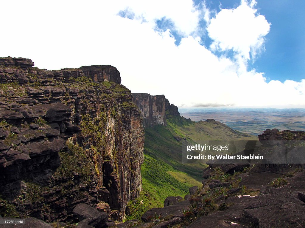 Top of Mount Roraima