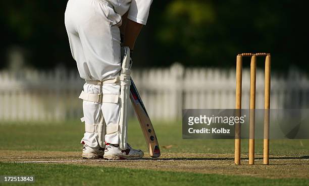 batsman at the crease - cricket stock pictures, royalty-free photos & images
