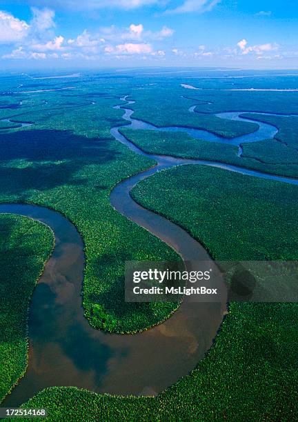 the mahakam delta in east kalimantan - borneo rainforest stock pictures, royalty-free photos & images