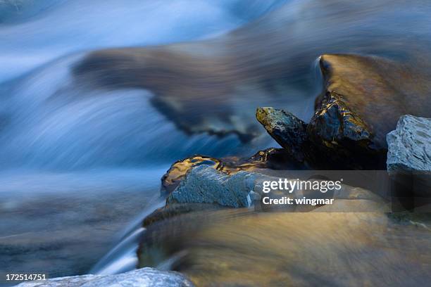 river refeflection - amazing moment in the nature stock-fotos und bilder