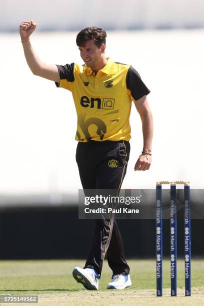 Jhye Richardson of Western Australia celebrates the wicket of Sam Harper of Victoria during the Marsh One Day Cup match between Western Australia and...