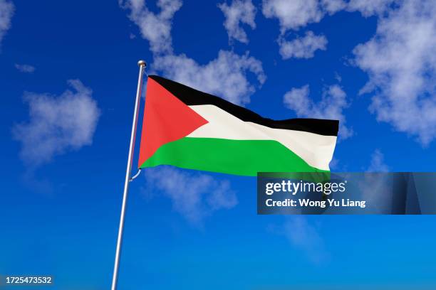 palestine flag with blue sky background , 3d render - politics illustration stock pictures, royalty-free photos & images