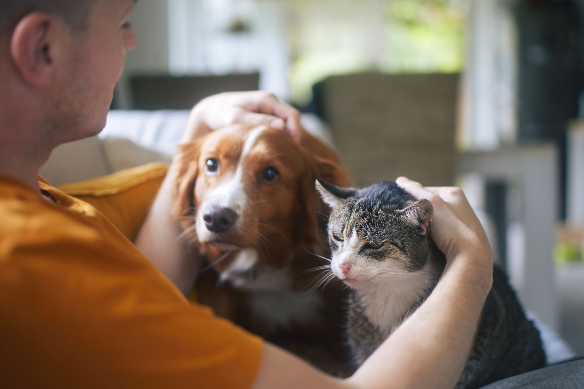 sustainable pet brand