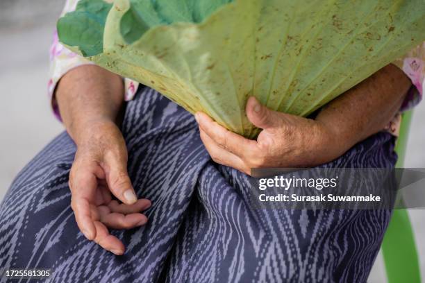 men take part in the ceremony of cutting their naga hair, wearing lotus leaves and being ordained as monks in thailand - initiation ceremony stock pictures, royalty-free photos & images