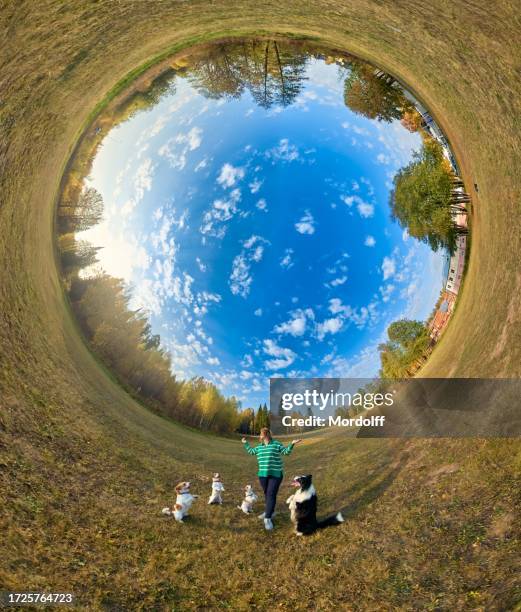 360-degree view of cheerful woman pets owner is dancing with the group of different dogs - 360 degree view stockfoto's en -beelden