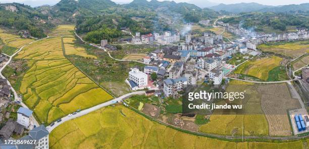 rural and paddy fields - chinese famine stock pictures, royalty-free photos & images