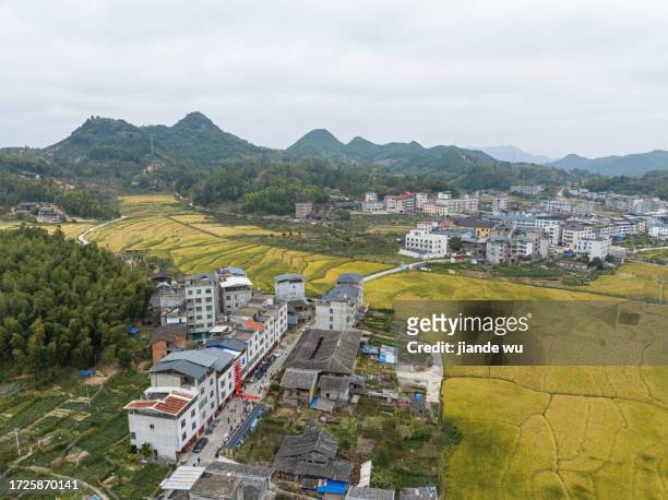 rural and paddy fields - chinese famine stock pictures, royalty-free photos & images