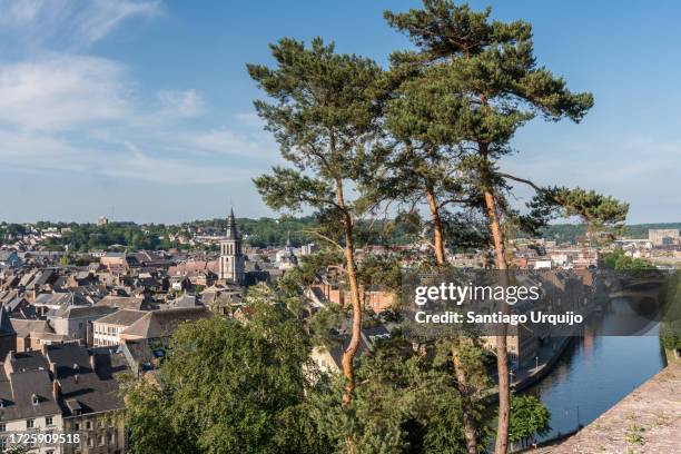 aerial view of namur city alongside the meuse river - namur stock-fotos und bilder