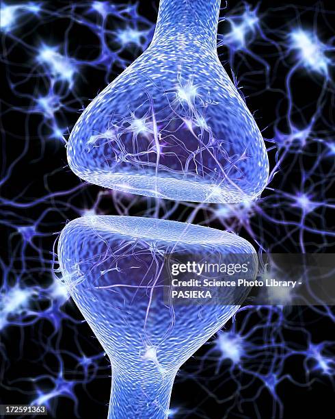 nerve synapse, artwork - synapsenspalt stock-grafiken, -clipart, -cartoons und -symbole