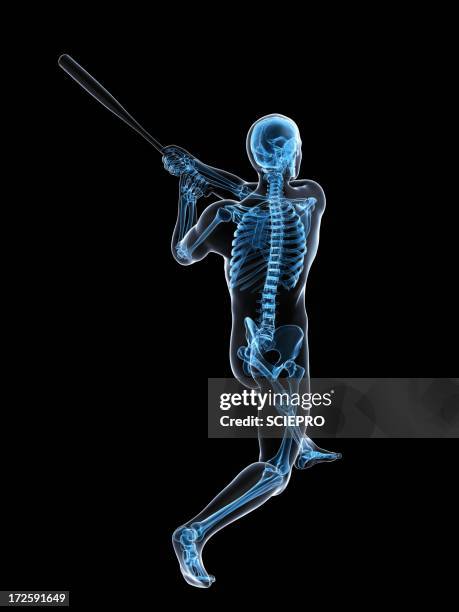 baseball player, artwork - pelvic exercise stock illustrations