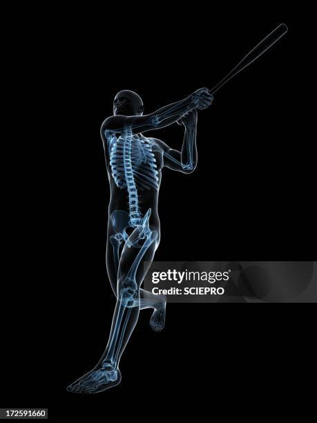 baseball player, artwork - pelvic exercise stock illustrations