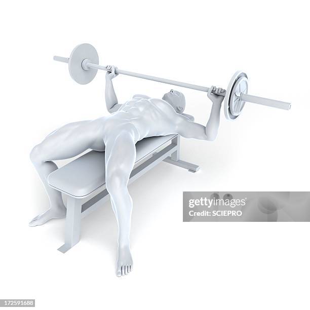 250点のベンチプレスイラスト素材 Getty Images 250点のベンチプレスイラスト素材 Getty Images