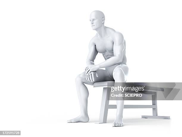 bodybuilder, artwork - sitting bench stock illustrations
