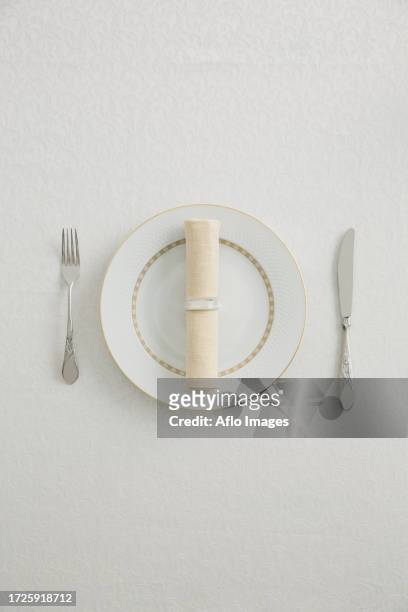 stylish table setting - napkin ring stock pictures, royalty-free photos & images