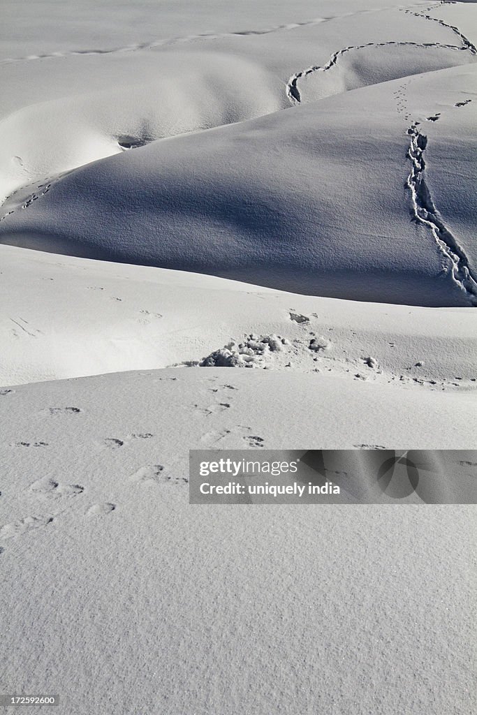 Footprints on a snow covered landscape, Kashmir, Jammu And Kashmir, India