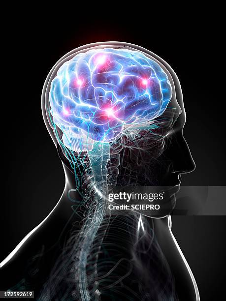 brain activity, artwork - brain activity stock illustrations