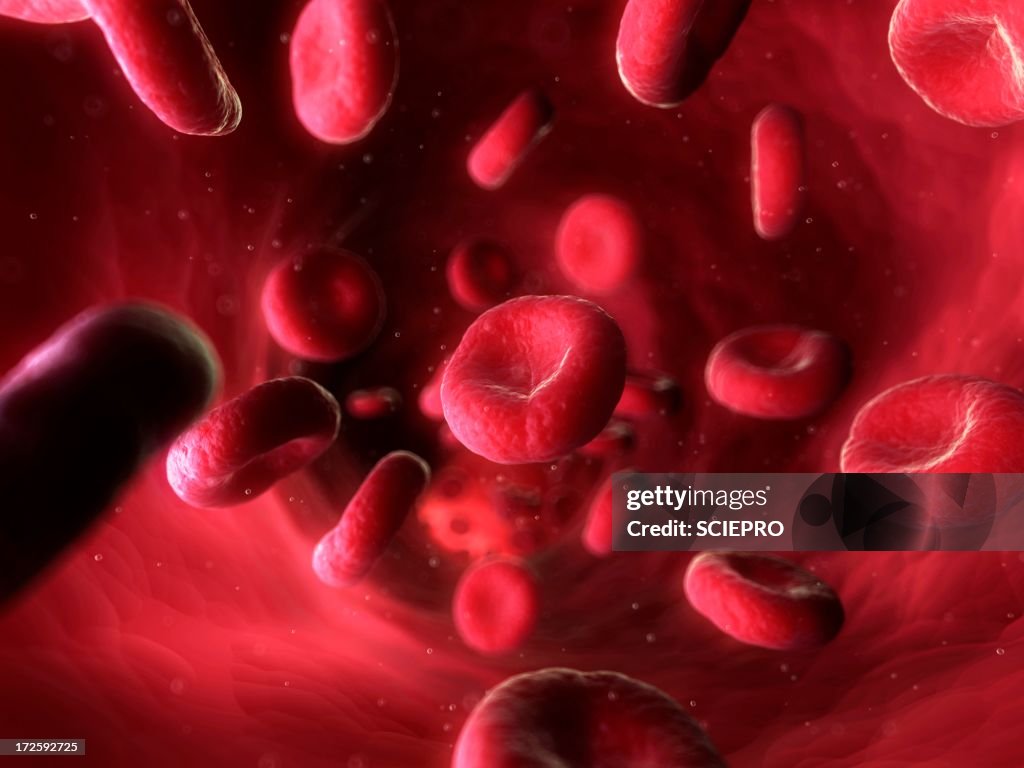 Bloodstream Visual Element Blood Stream Artwork High-Res Vector Graphic - Getty Images