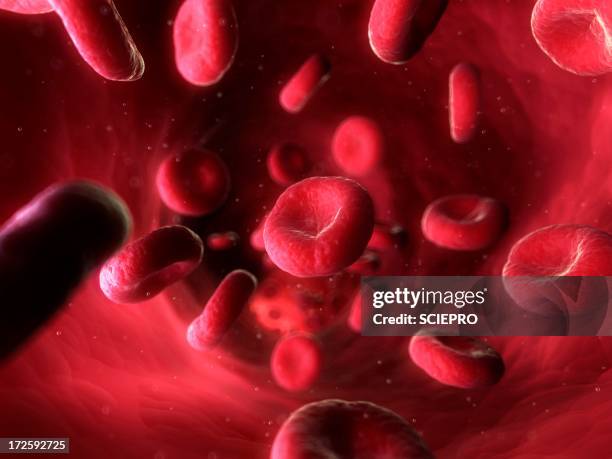 blood stream, artwork - bloodstream stock illustrations