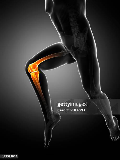 knee pain, conceptual artwork - lower stock illustrations