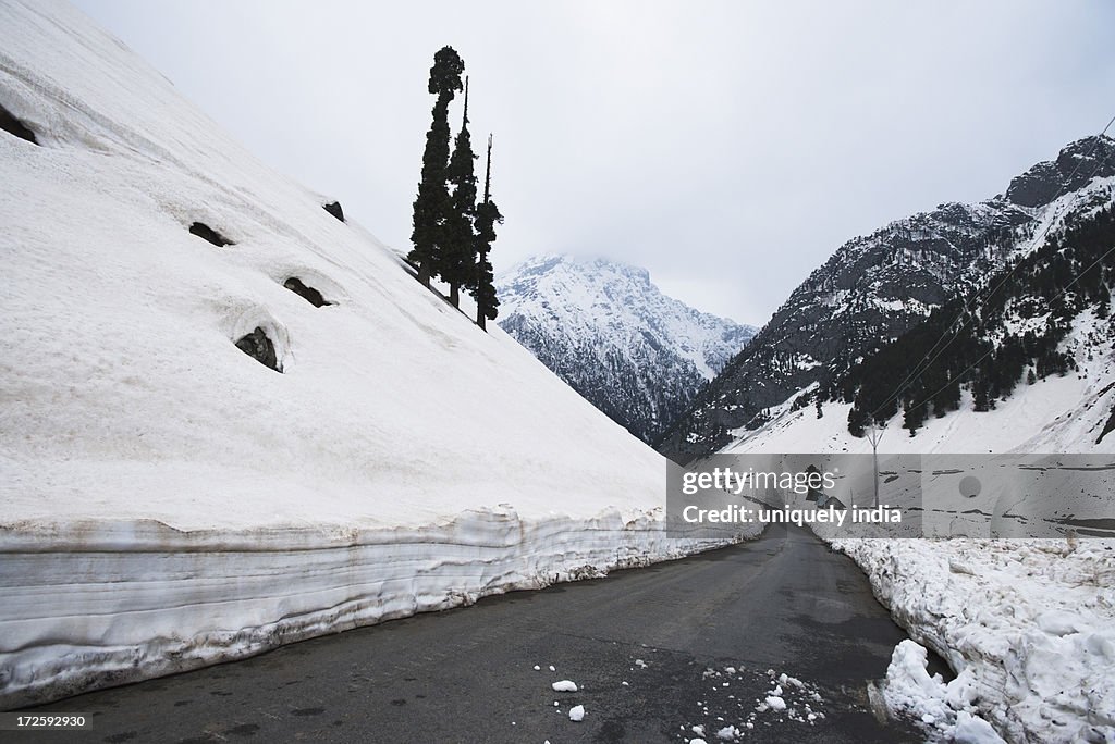 Road passing through the snowy valley, Sonmarg, Jammu And Kashmir, India