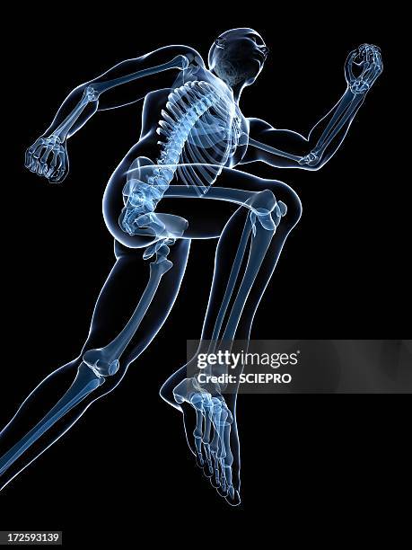 running skeleton, artwork - running low angle stock illustrations