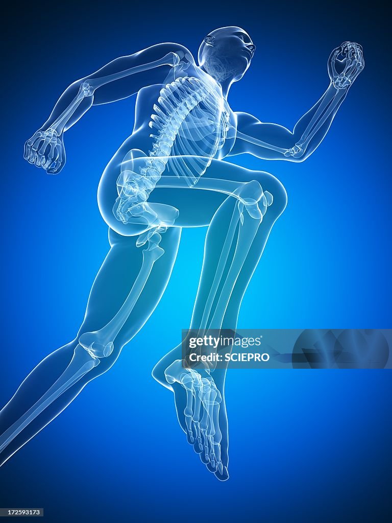 Running skeleton, artwork