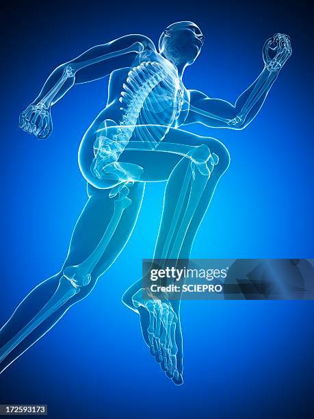 running skeleton, artwork - running low angle stock illustrations