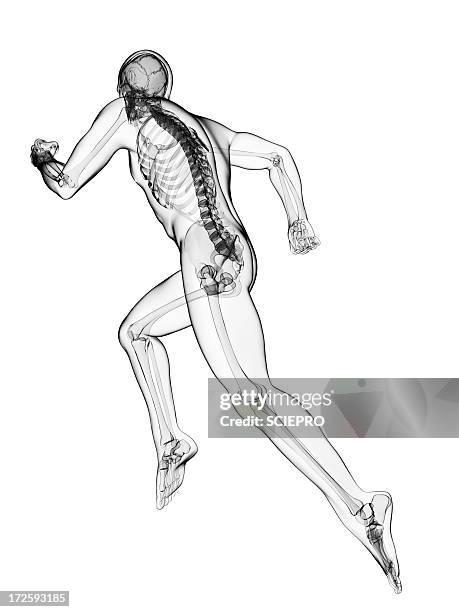 running skeleton, artwork - running behind stock illustrations