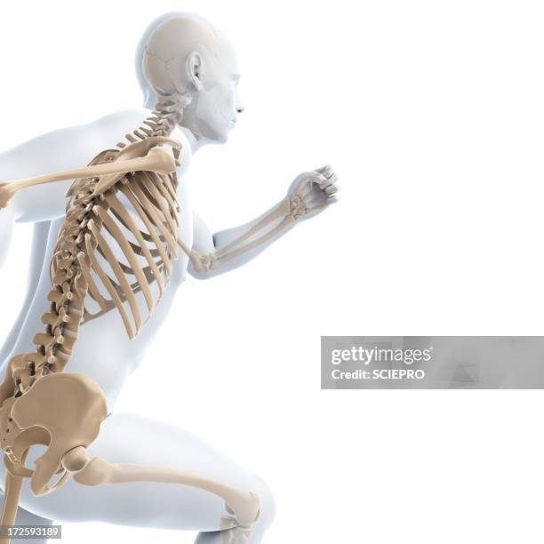 153 Rib Run Stock Photos, High-Res Pictures, and Images - Getty Images