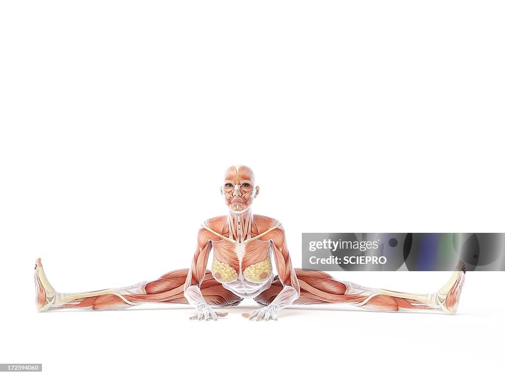 Yoga Artwork High-Res Vector Graphic - Getty Images