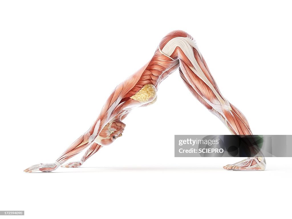 Yoga, artwork