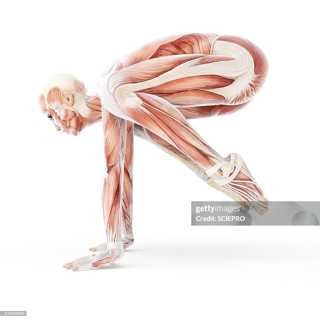 Yoga, artwork
