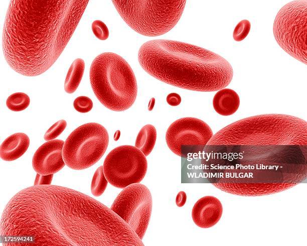 stockillustraties, clipart, cartoons en iconen met red blood cells, artwork - red blood cells