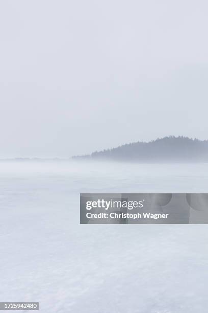 nebel und see - tirol nebel stockfoto's en -beelden