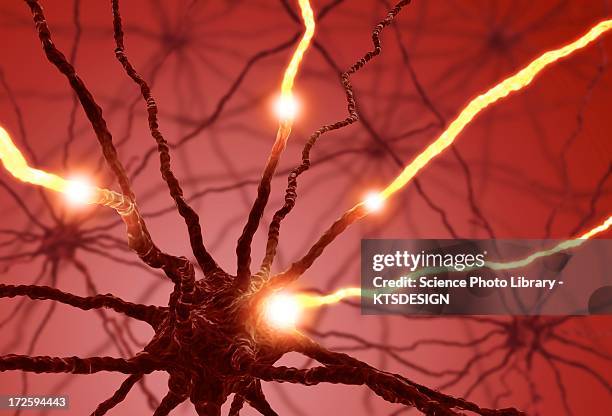 neural network, artwork - nervenzelle stock-grafiken, -clipart, -cartoons und -symbole