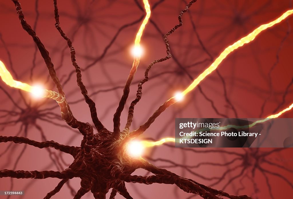 Neural network, artwork
