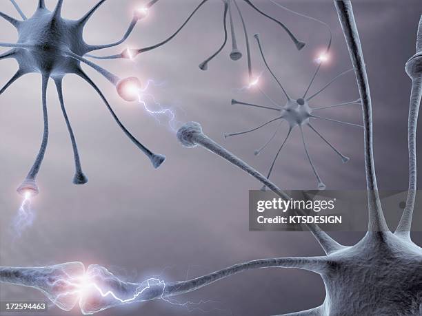 154 Neurons Firing Stock Photos, High-Res Pictures, and Images - Getty ...