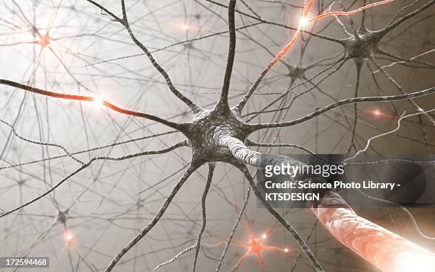 neural network, artwork - neurology stock-grafiken, -clipart, -cartoons und -symbole
