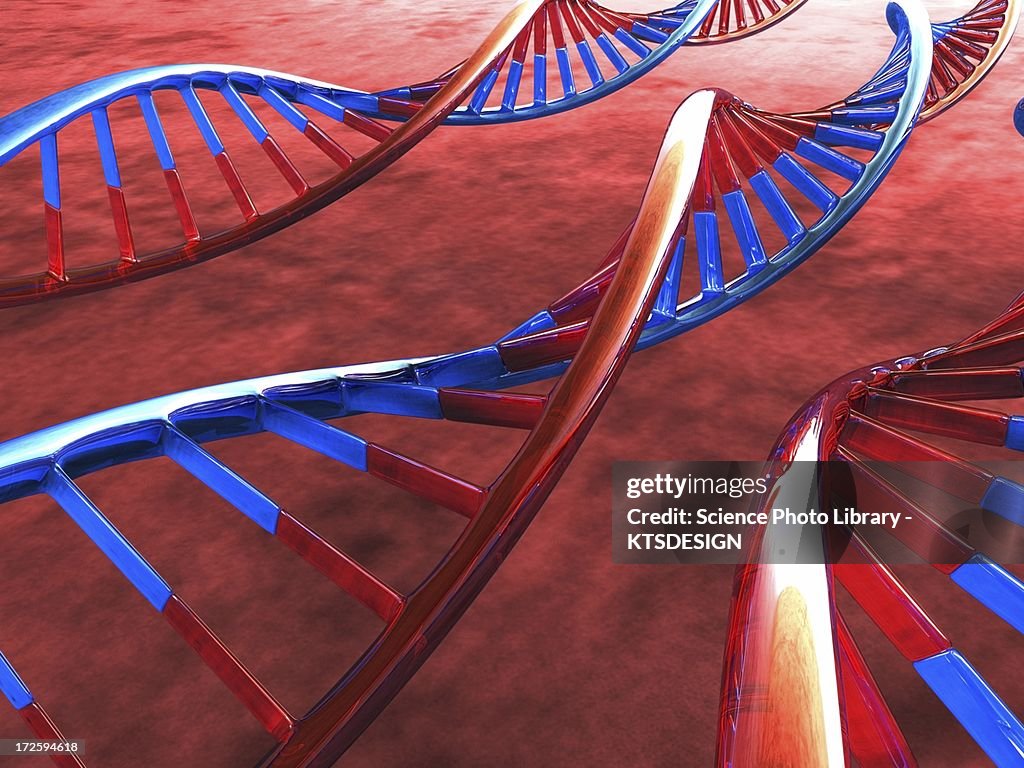 DNA molecules, artwork