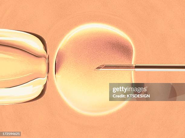 stockillustraties, clipart, cartoons en iconen met in vitro fertilisation, artwork - artificial insemination