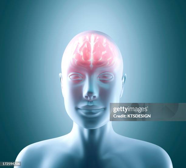 human brain, artwork - face looking down stock illustrations