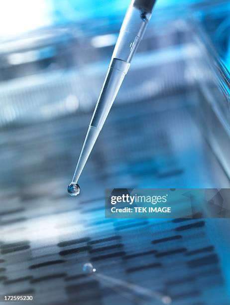 genetic research, conceptual image - polymer sequencing stock pictures, royalty-free photos & images