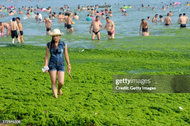 Tourists play at a beach covered by a thick layer of green algae on July 3, 2013 in Qingdao, China. A large quantity of non-poisonous green seaweed,...