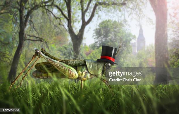 illustration of cricket wearing monocle and top hat - invertebrate stock illustrations
