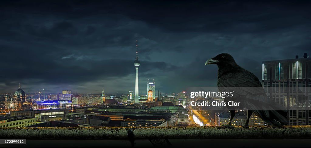 Crow overlooking cityscape, Berlin, Berlin, Germany