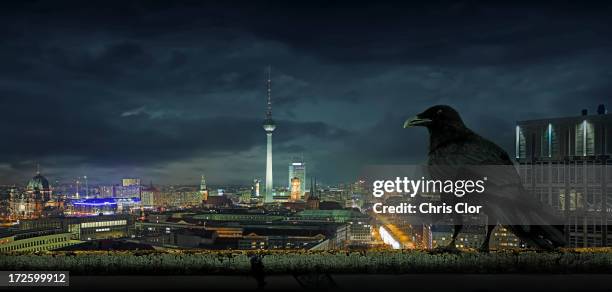 ilustrações de stock, clip art, desenhos animados e ícones de crow overlooking cityscape, berlin, berlin, germany - corvo pássaro