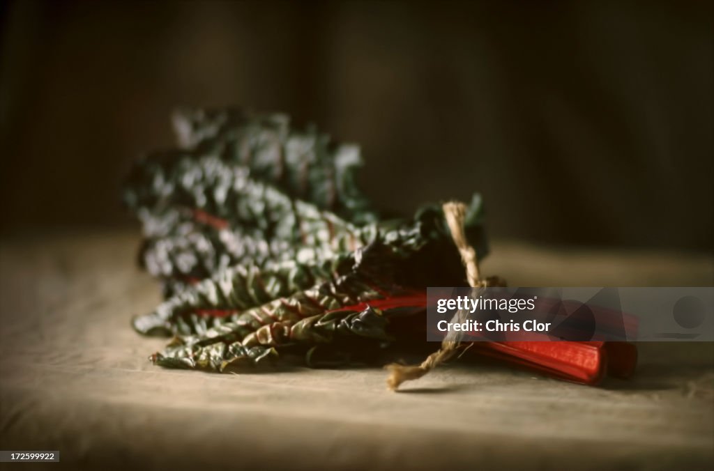 Close up of vegetable leaf