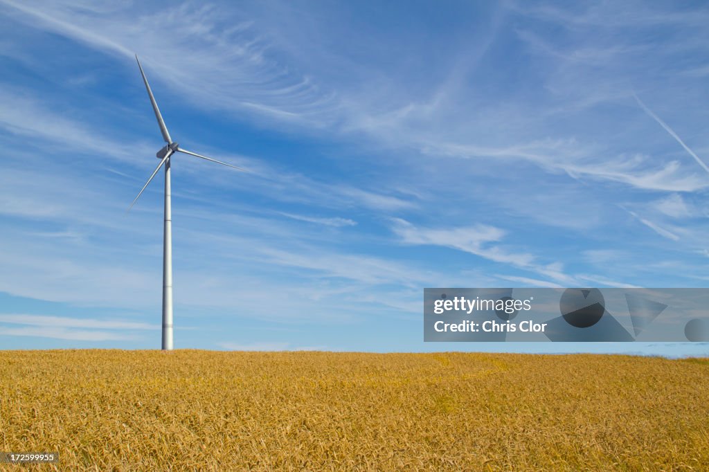 Wind turbine in rural landscape